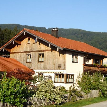 Apartment Andrea - Chiemgau Karte Inzell Exterior photo