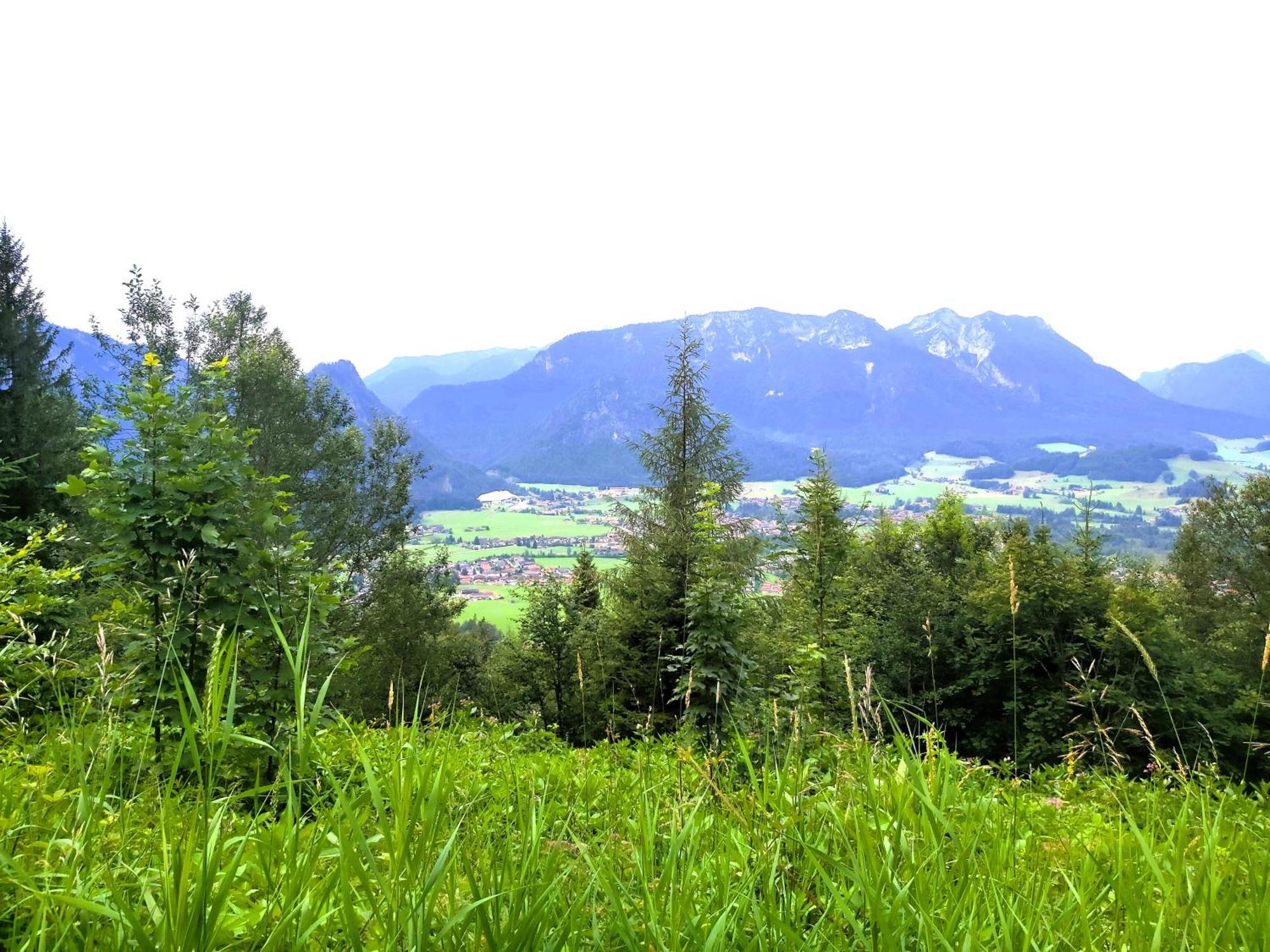 Apartment Andrea - Chiemgau Karte Inzell Exterior photo