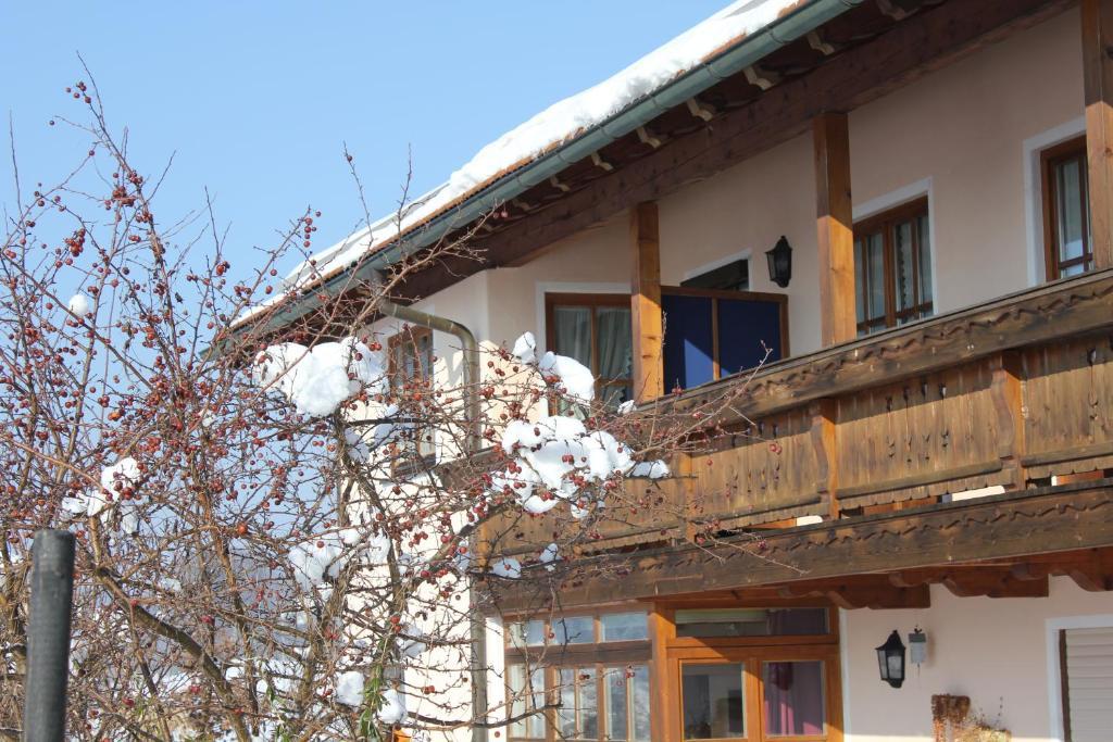 Apartment Andrea - Chiemgau Karte Inzell Exterior photo